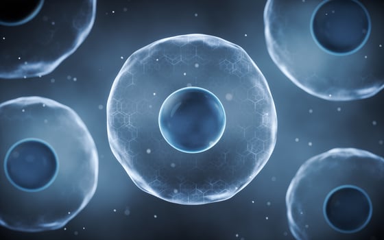 Biological cell with thin film, 3d rendering. photo