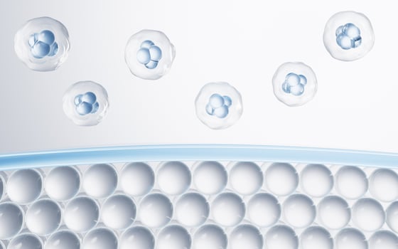Cells and skin, cosmetic and skin care concept, 3d rendering. photo