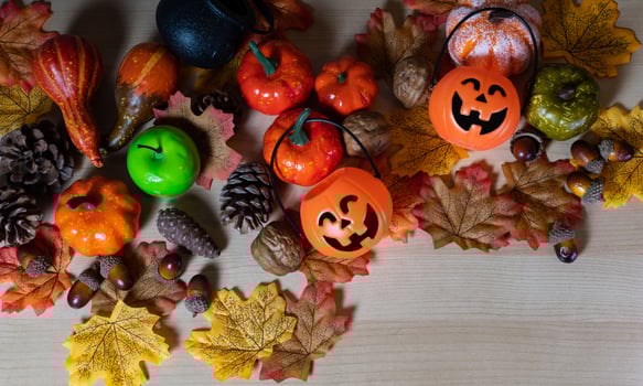 Halloween party border on wooden background. photo