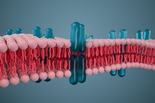 Cell membrane and biology, biological concept, 3d rendering. photo