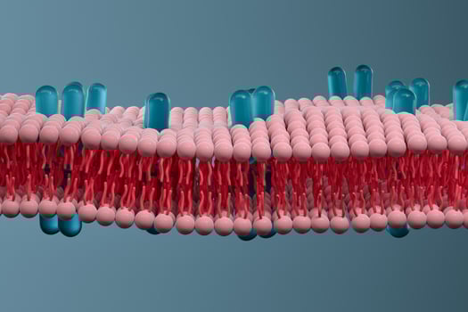 Cell membrane and biology, biological concept, 3d rendering. photo