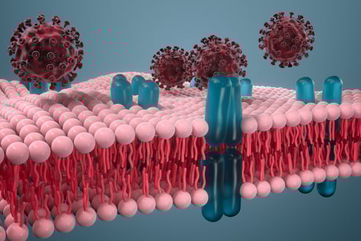 Cell membrane and coronavirus, medical concept, 3d rendering. photo