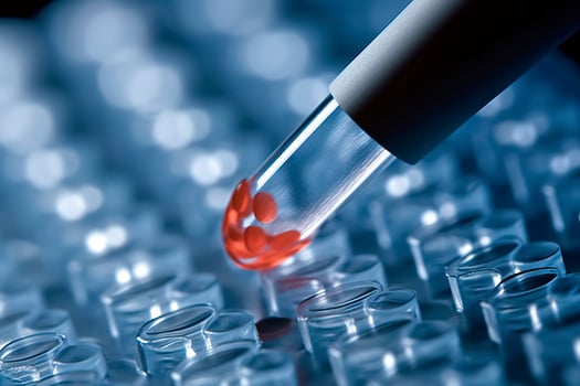 Macro shot of doctor tip and plastic plate for immunosorbent assay. AI Generated photo