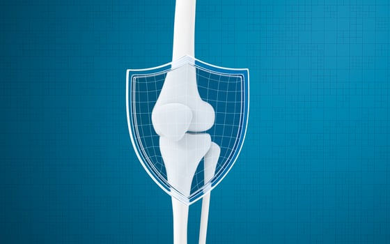 Leg bone and shield, 3d rendering. photo