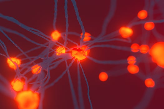 The intricate nervous system,abstract conception,3d rendering. photo