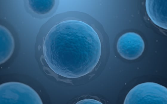 Biological cells with blue background, 3d rendering. photo