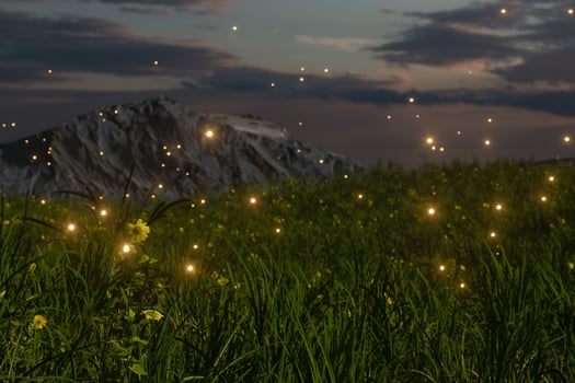 Flying glowworm over the grass field, 3d rendering. photo