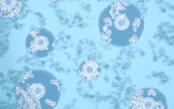 Infected bacteria, germs and fungus, 3d rendering. photo