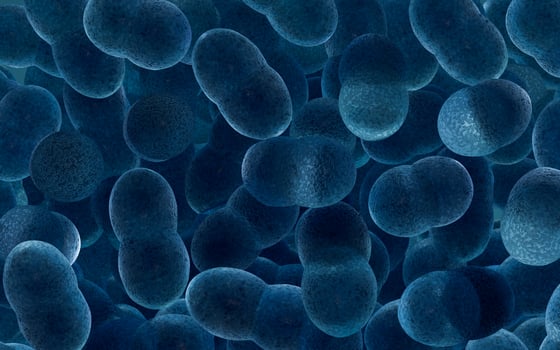 Large groups of germs with blue background, 3d rendering. photo