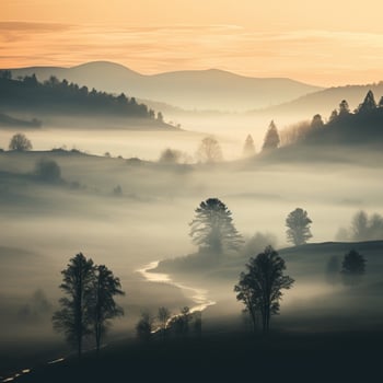Muted colors of a misty morning landscape photo