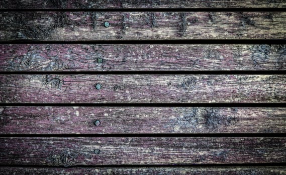 the texture of an old wooden shield photo