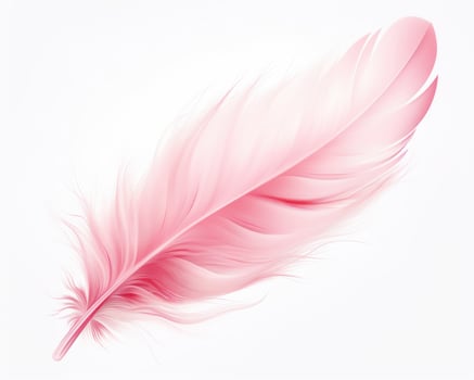 Pink feather isolated photo