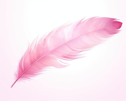 Pink feather isolated photo