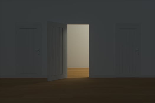 Wooden door with white night scene, 3d rendering. photo