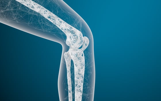 Leg bones and knees, 3d rendering. photo
