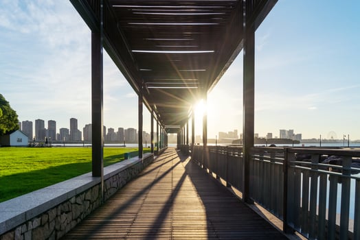 The plank path in the park on a sunny morning. photo