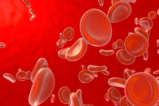 Blood and red blood cells,abstract conception,life and health,3d rendering. photo