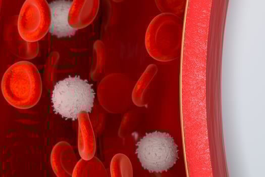 Red and white blood cells in the blood vessel, 3d rendering. photo
