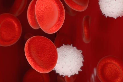 Red and white blood cells in the blood vessel, 3d rendering. photo