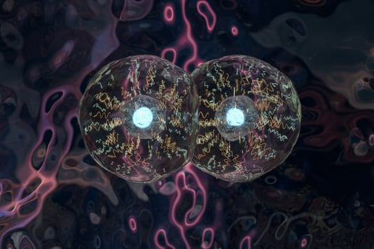 Transparent cells in the blood, 3d rendering. photo