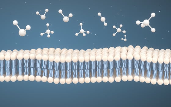 Cell Membrane and Molecules, 3d rendering. photo