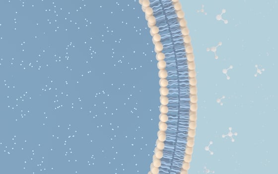 Cell Membrane and Molecules, 3d rendering. photo