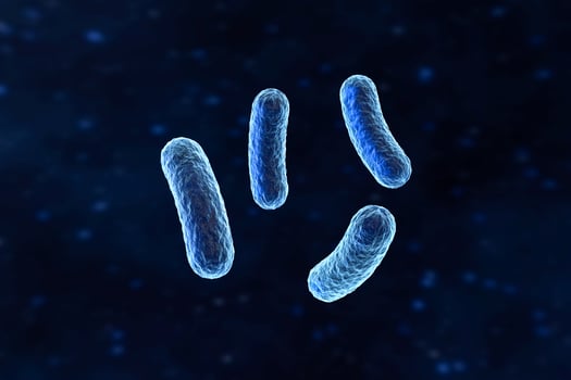 Infectious virus with surface details on blue background, 3d rendering. photo