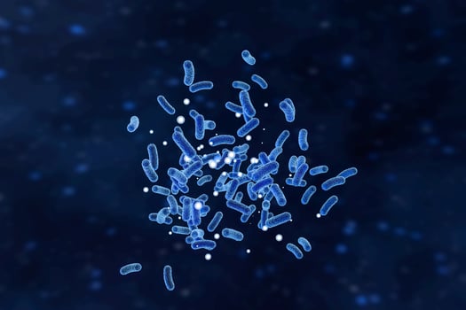 Infectious virus with surface details on blue background, 3d rendering. photo