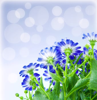 Floral border with bokeh photo