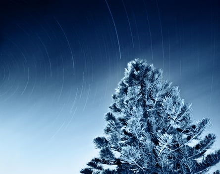 Night sky of falling stars photo