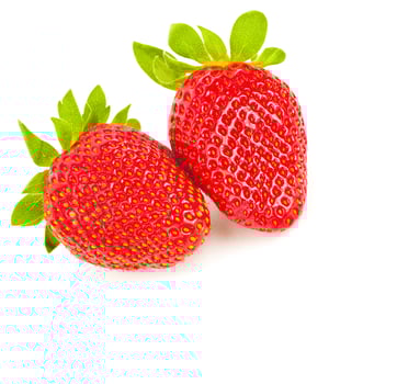 Fresh strawberries isolated photo