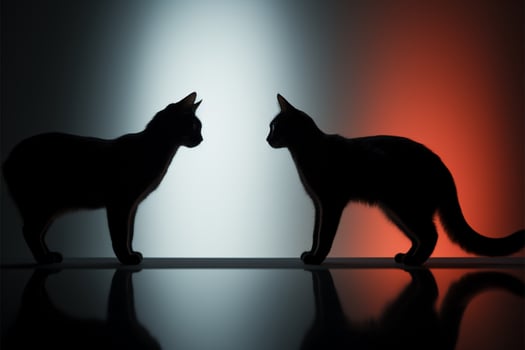 Rendered art, 3D cats elegance displayed through shadow on wall AI Generated photo