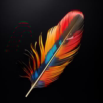 Vibrant contrast of an feather on black background photo
