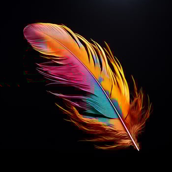 Vibrant contrast of an feather on black background photo