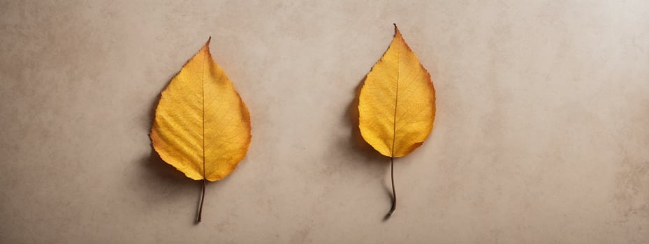 two leaves on a wall with a brown background photo
