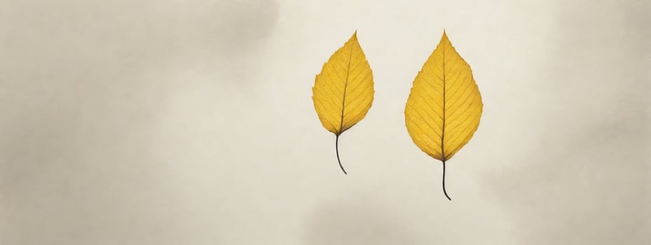 two yellow leaves are shown on a white background photo