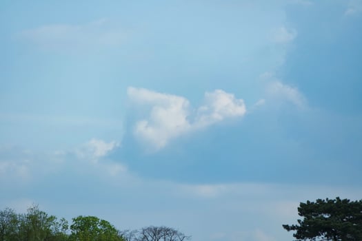Gorgeous Low Angle View of Local Public Park of Luton England UK photo