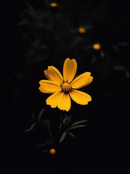 AI Generative single yellow flower in a dark photo