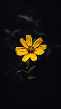 AI Generative single yellow flower in a dark photo