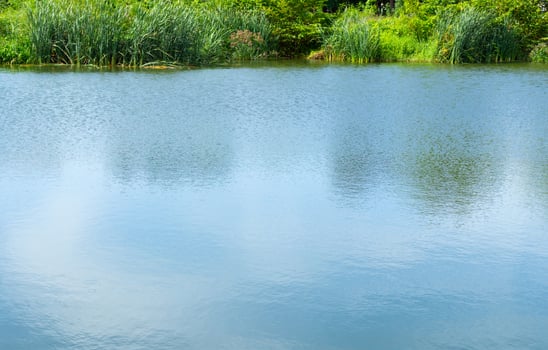 Blue sky Reflection of the meadow in the water and green grasses edges photo