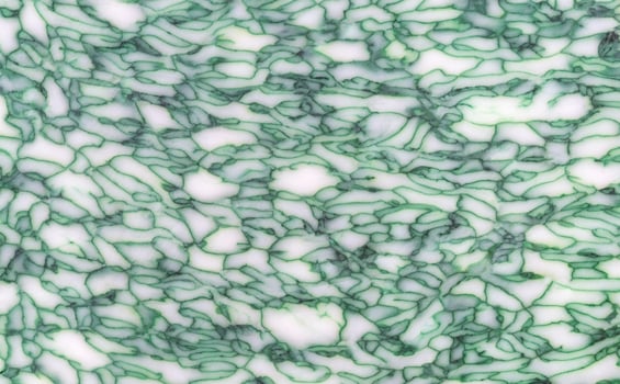 Basil cheese close up photo