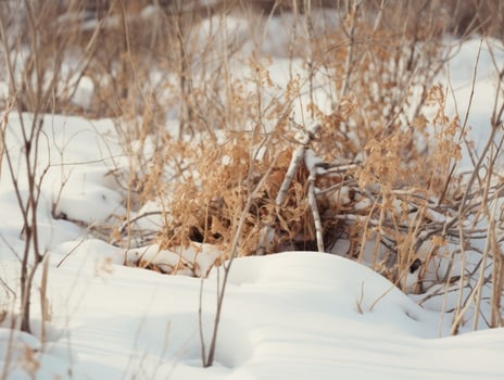 Minimalist winter landscape composition AI Generative photo