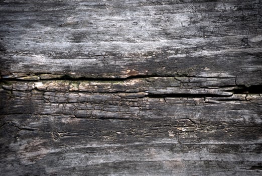 Texture of natural old wood with a crack. Natural background. Close-up. Selective focus. photo