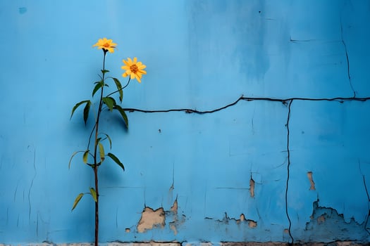 blue flat wall with flower on the side AI Generative photo