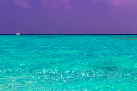 Natural tropical turquoise sandbank islands Madivaru Finolhu Rasdhoo Atoll Maldives. photo