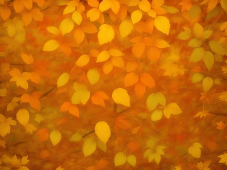 autumn leaves pattern background ai generated photo