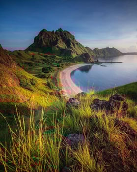 Tranquil Sunrise over Calm Ocean and Peaceful Meadow Tranquil beach with calm ocean and stunning horizon. photo