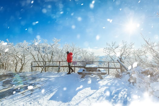Atop the snow-capped Deogyusan mountains on a clear day and the snow blown by the wind  in winter,South Korea. photo
