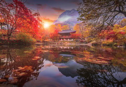 Colorful autumn with beautiful maple leaf in sunset at Baekyangsa temple in Naejangsan national park, South Korea. photo