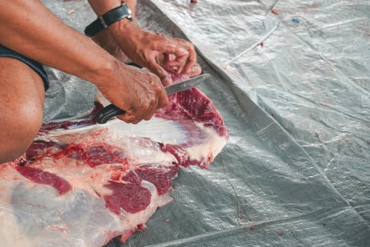 A portrait of Muslims cutting meat on Eid Al Adha by using cutting knife photo
